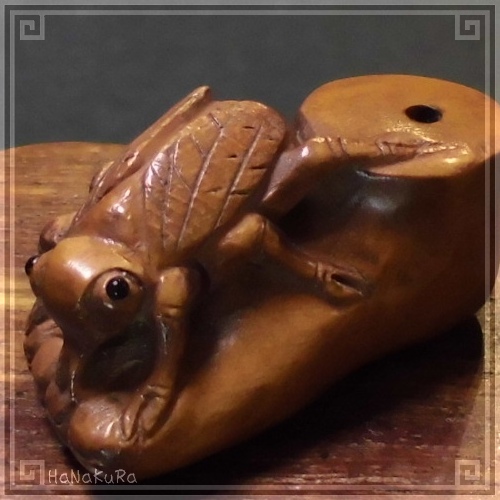つげ 根付け 木彫り 彫刻 232 知足常楽 蝉 セミ | 木彫り根付け,つげ